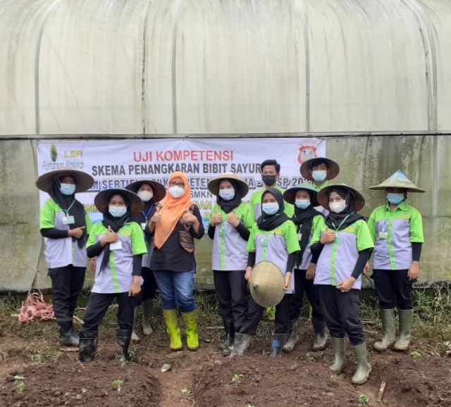 UJI KOMPETENSI PSKK 2021 SKEMA PENANGKARAN BIBIT SAYURAN DI TUK SMKN 1 DOKO