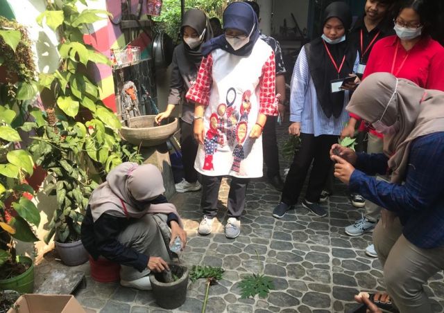 UJI KOMPETENSI PSKK 2021 SKEMA PEMBUATAN PESTISIDA ORGANIK DI TUK P4S TANI MAKMUR