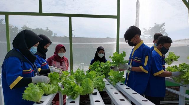 UJI KOMPETENSI PSKK 2021 SKEMA BUDIDAYA TANAMAN HIDROPONIK DI TUK SMKN 1 MALANG