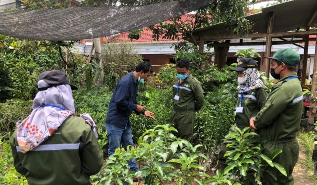 UJI KOMPETENSI MANDIRI 2021 SKEMA KUALIFIKASI II PEMBIBITAN TANAMAN DI TUK UD. ALAM LESTARI NGUNUT TULUNGAGUNG