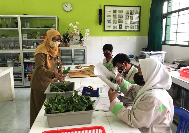 UJI COBA PERANGKAT ASESMEN 2021 SEKTOR PERTANIAN SKEMA PELAKSANA PANEN BIBIT TUK SMK NEGERI 2 BATU