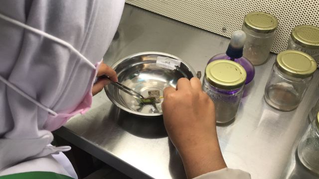 UJI COBA PERANGKAT ASESMEN 2021 SEKTOR PERTANIAN SKEMA PELAKSANA KULTUR IN VITRO TUK SMK NEGERI 2 BATU